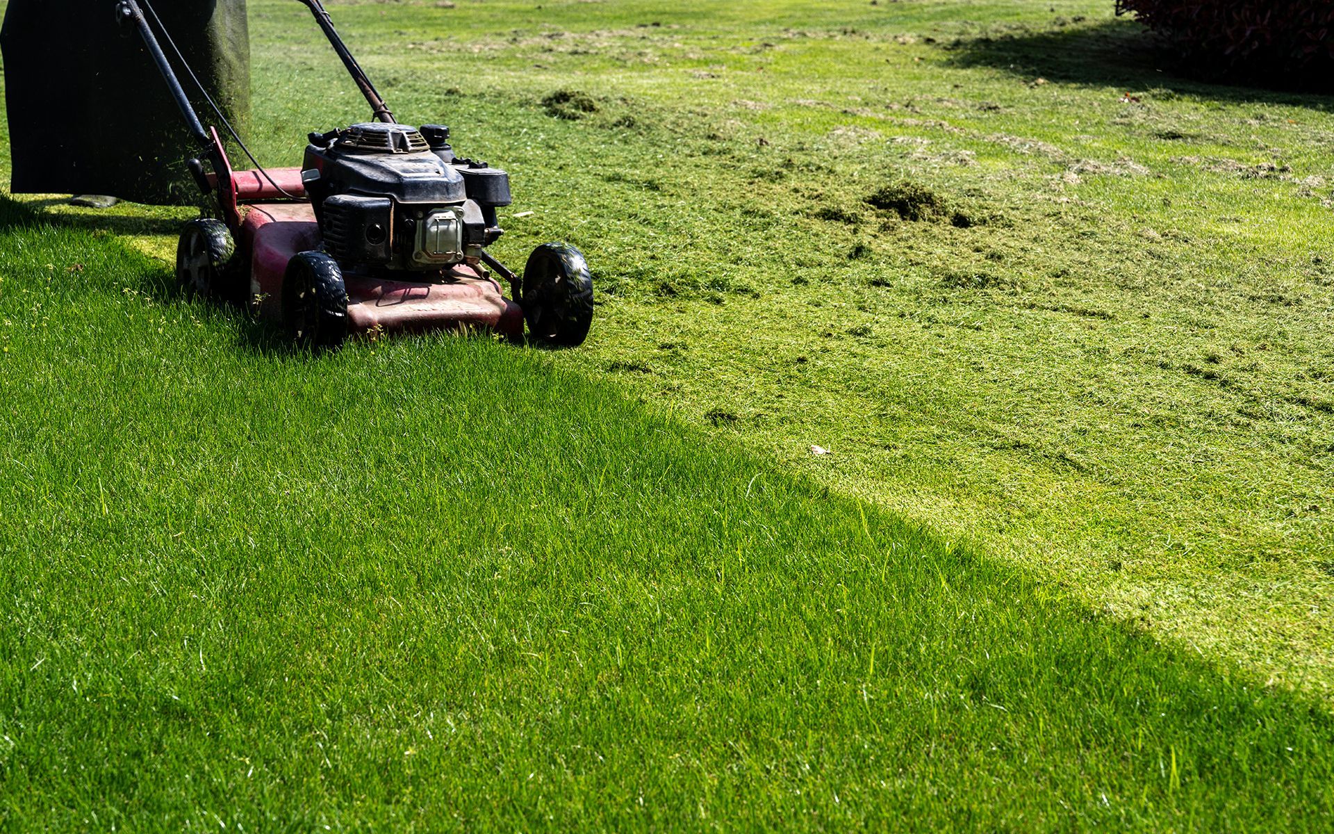 A person is mowing a lush green lawn with a lawn mower.