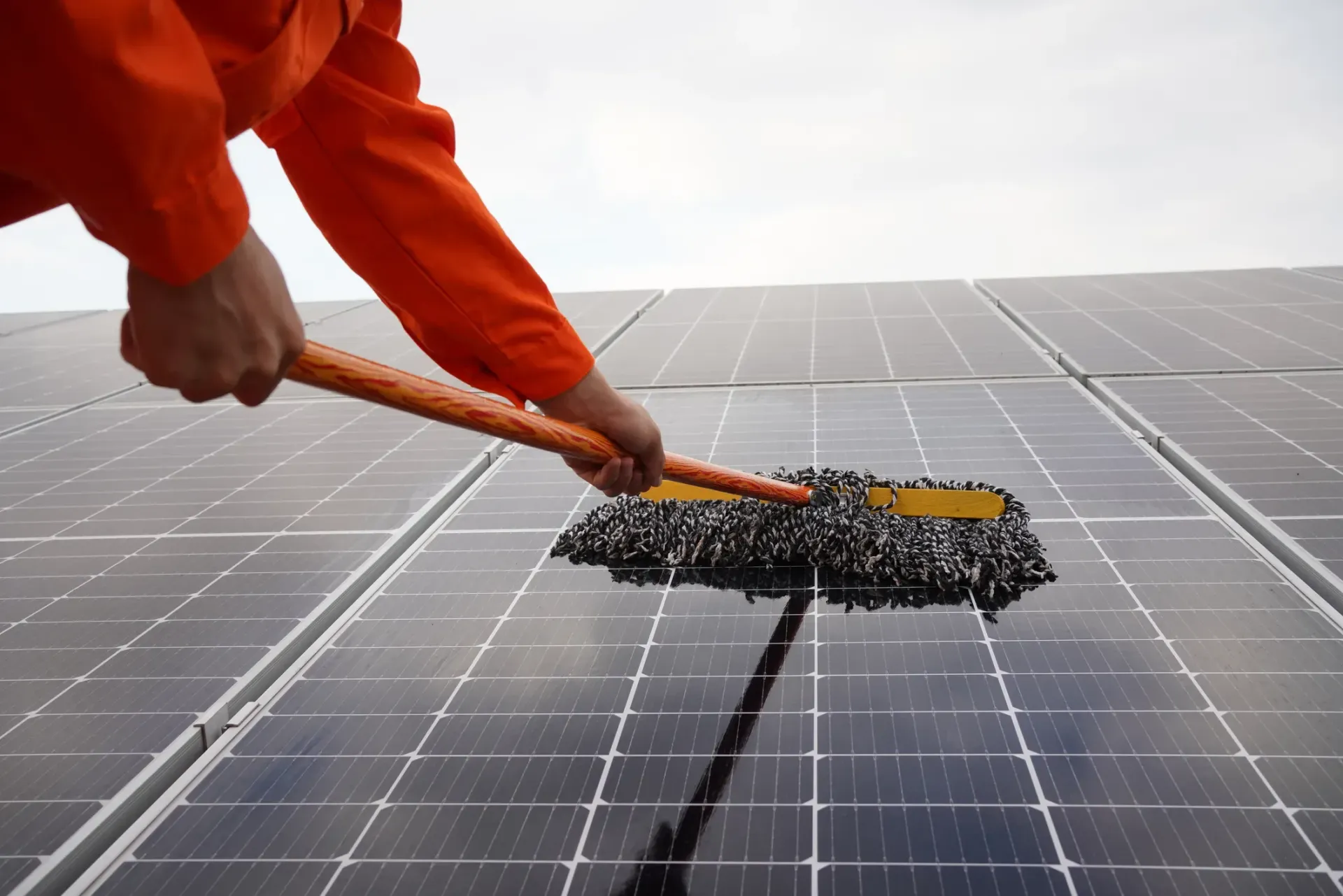 solar panel cleaning service