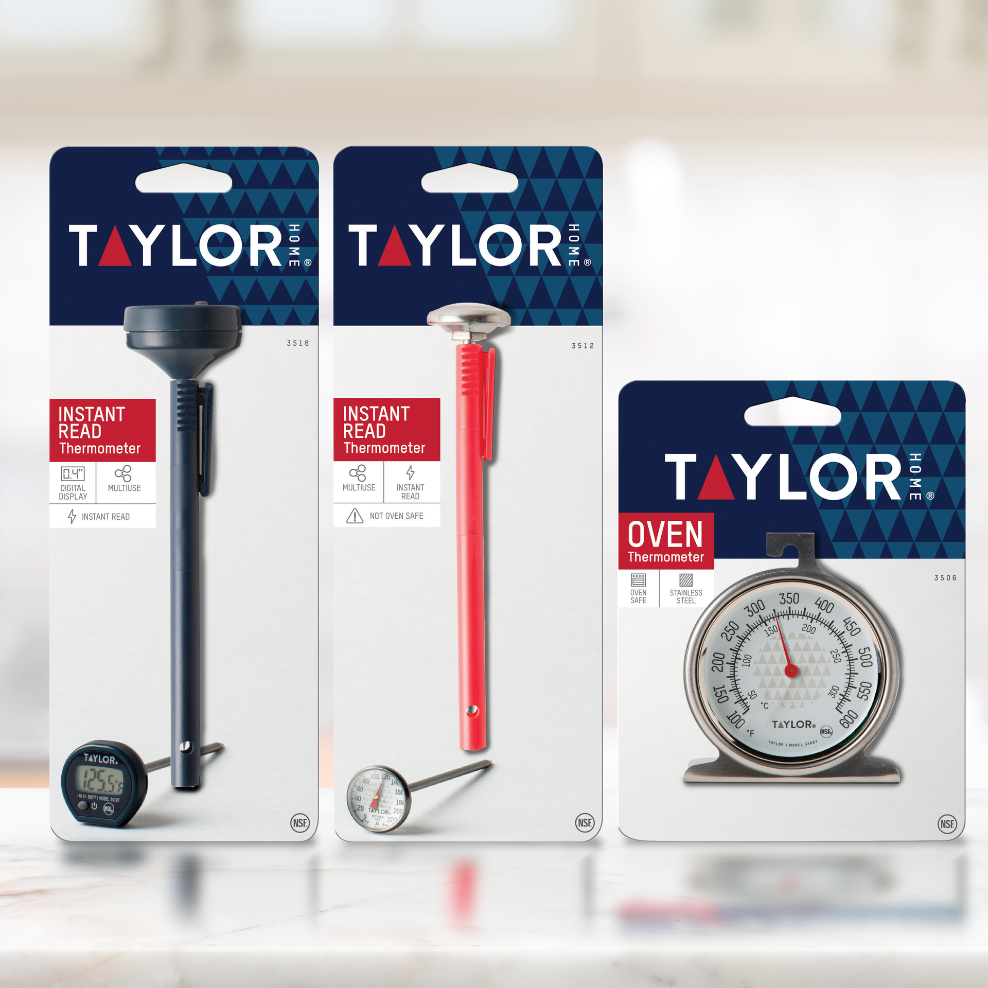Taylor Home Thermometers