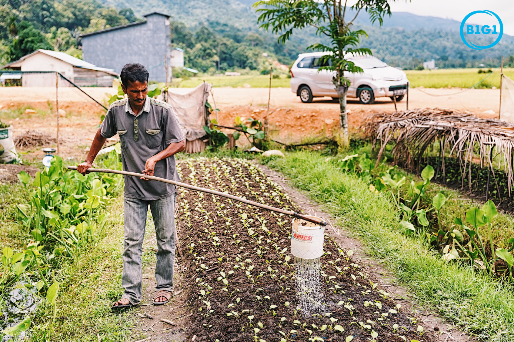 Small Business Bookkeeping Services