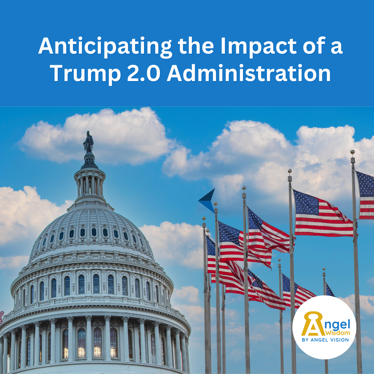 Anticipating the Impact of Trump 2.0 Administration