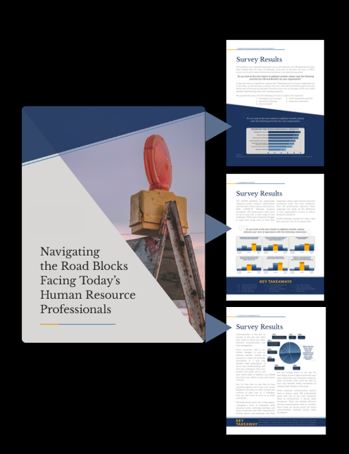 Sample ebook representation on navigating the Road Blacks Facing Today's Human Resource Professionals