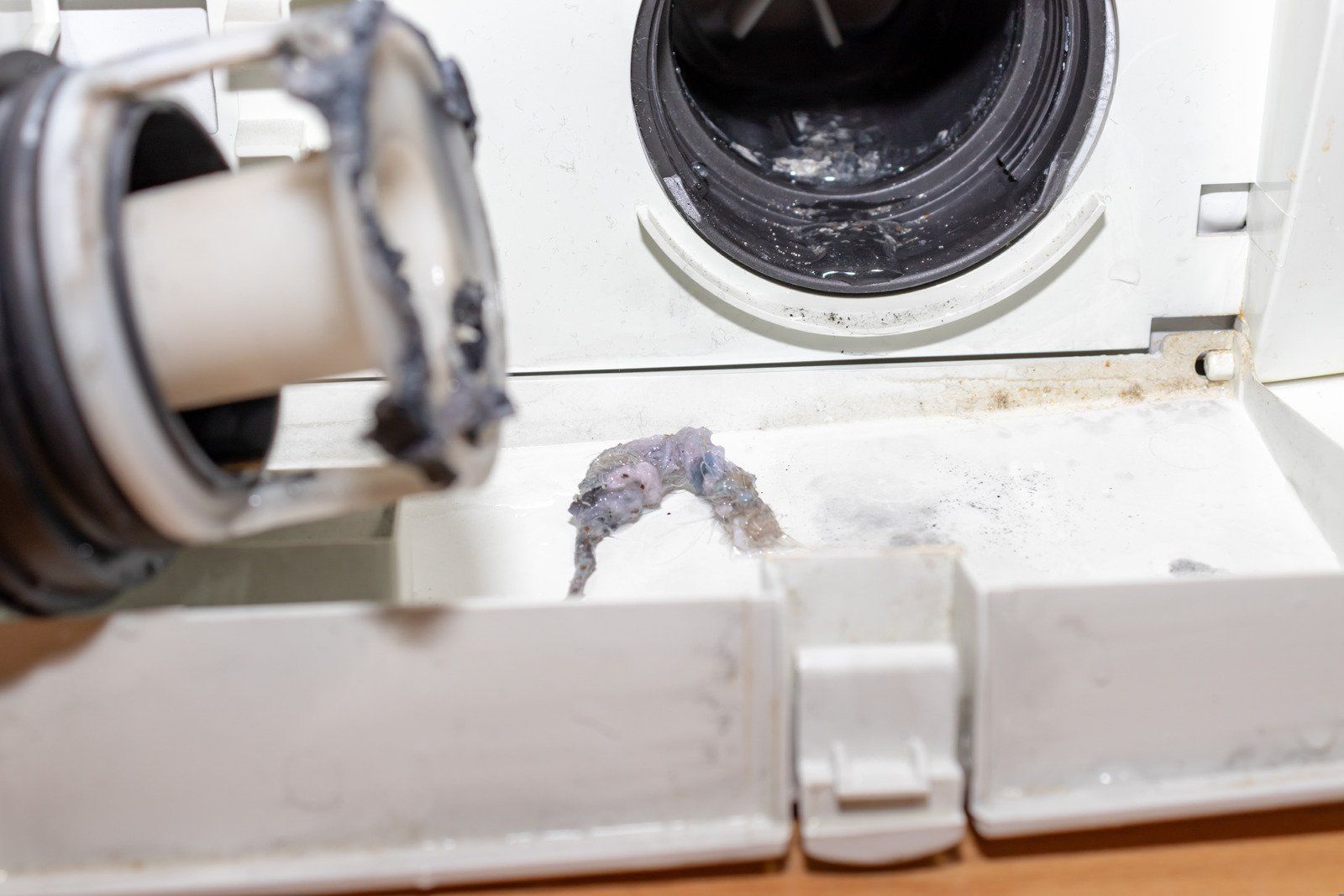 Broken washing machine door latch with torn rubber seal visible near the drum opening