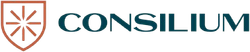 Consilium Groupe