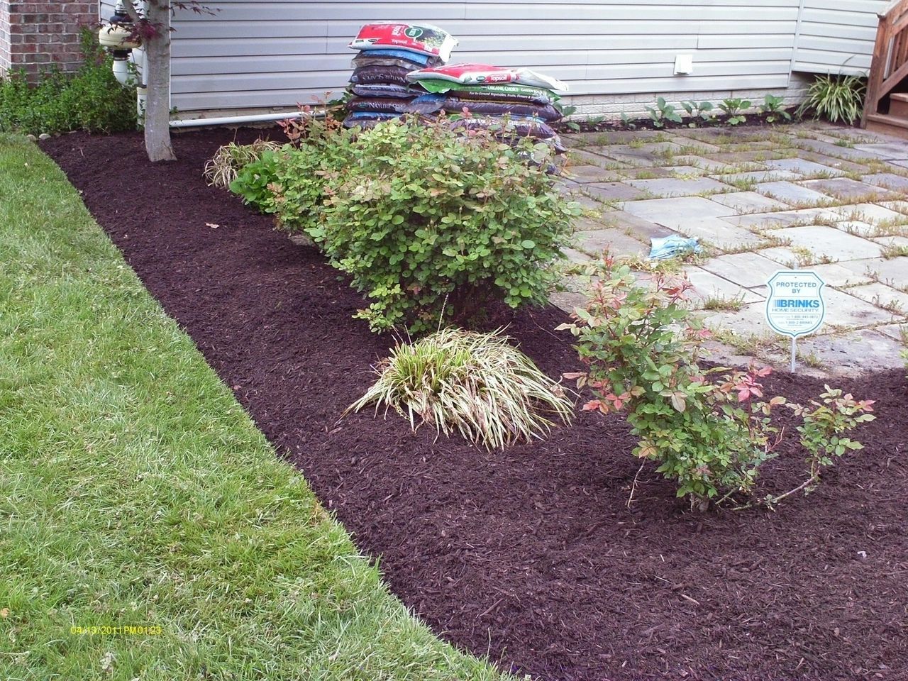 Flower bed with dark mulch and green plants, next to grass and stone patio.