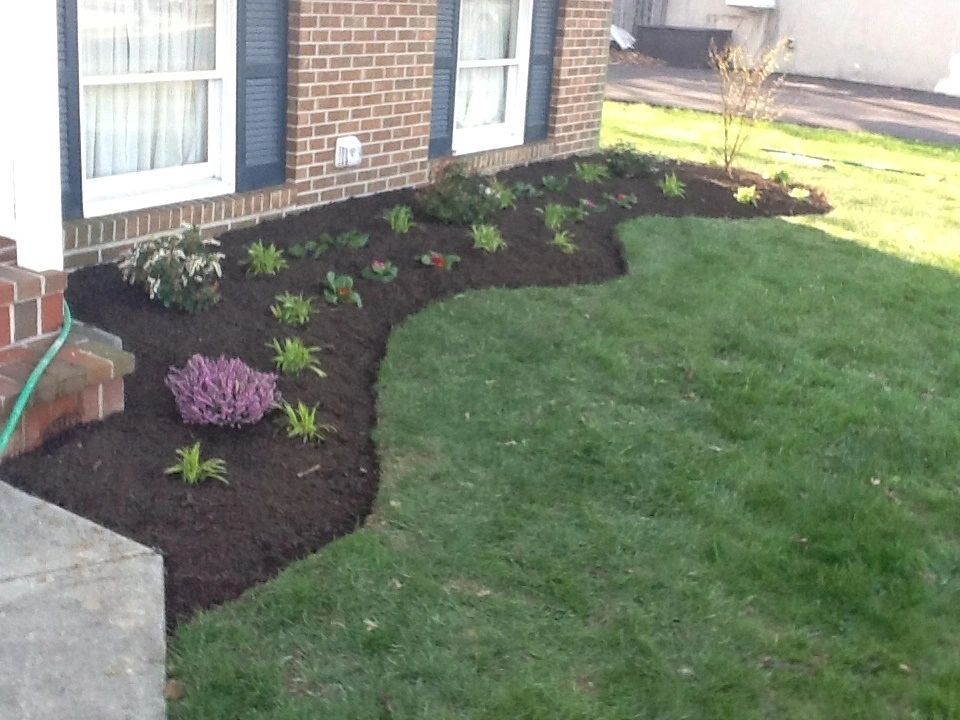 Flowerbed of dark mulch and various green and purple plants in front of a brick house with green grass.