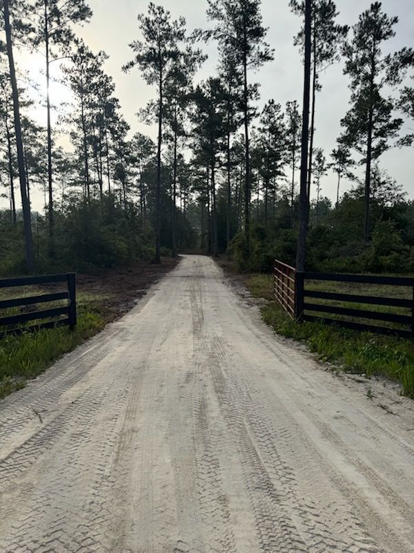 Dirt road lined with trees, leading to an opening framed by black fences. Overcast sky.