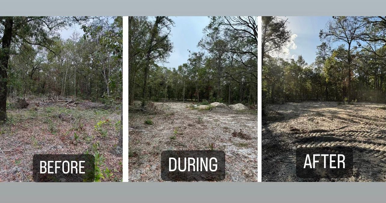 Three-panel comparison: forest clearing before, during, and after. Ground cleared of vegetation, trees in background.