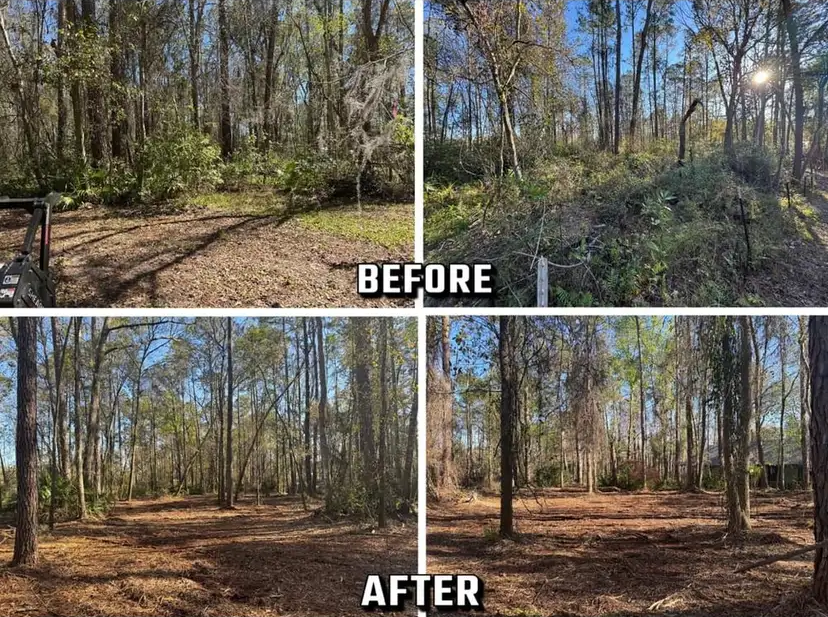 Before-and-after view of a wooded area: overgrown before, cleared and open after, with brown ground and tall trees.