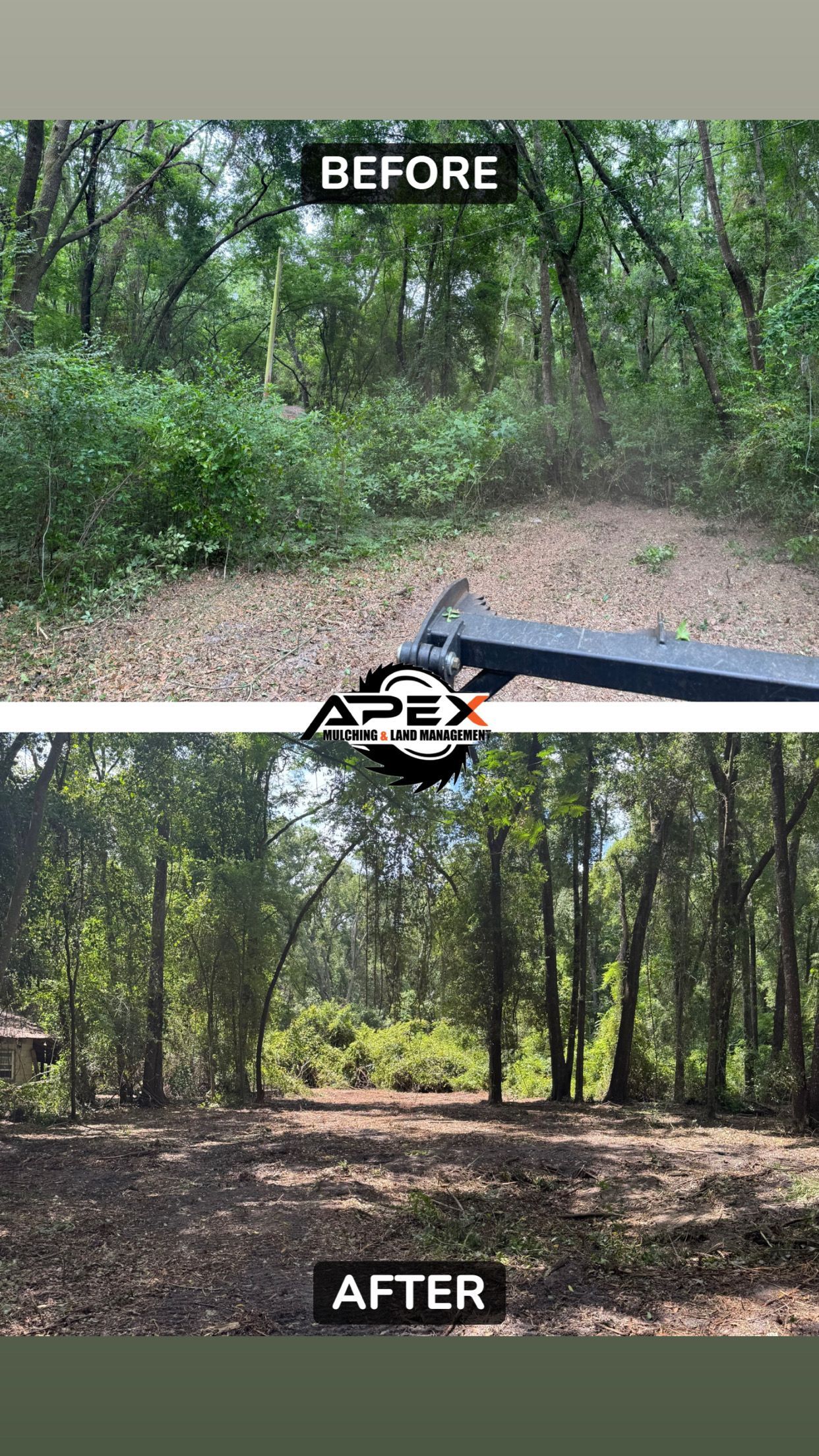 Before and after comparison of land clearing. Overgrown area transformed into an open space.
