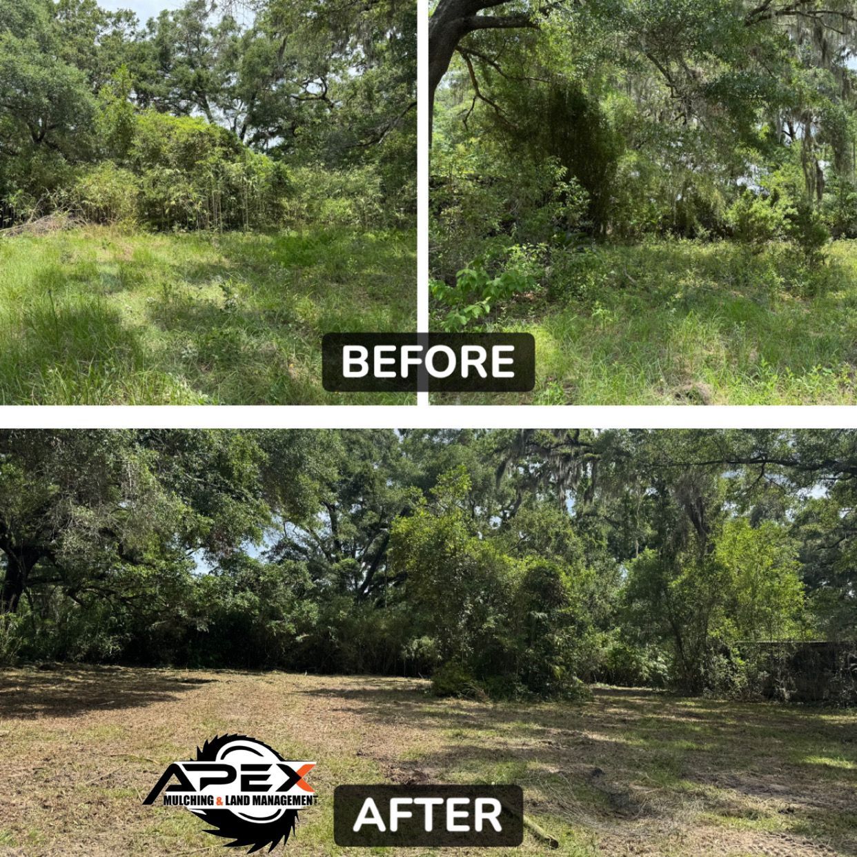 Before and after comparison of a grassy yard. Before, overgrown; after, cleared.