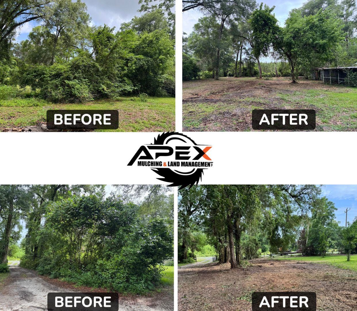 Before & after photos of land clearing by Apex Wildlife & Land Management; green bushes become cleared ground.