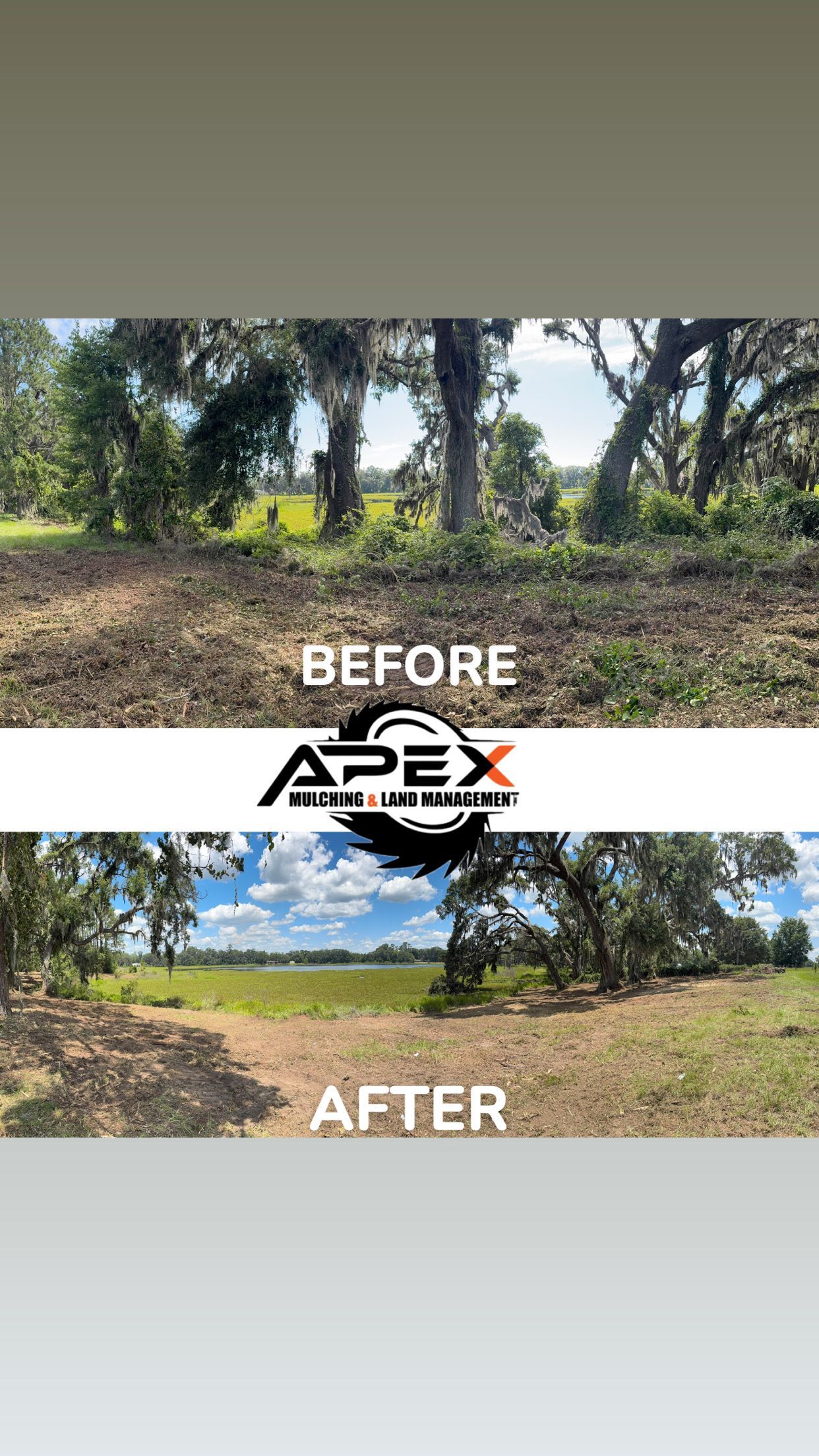Before and after land clearing. Brown landscape with trees, clearing shown from dense brush to open.
