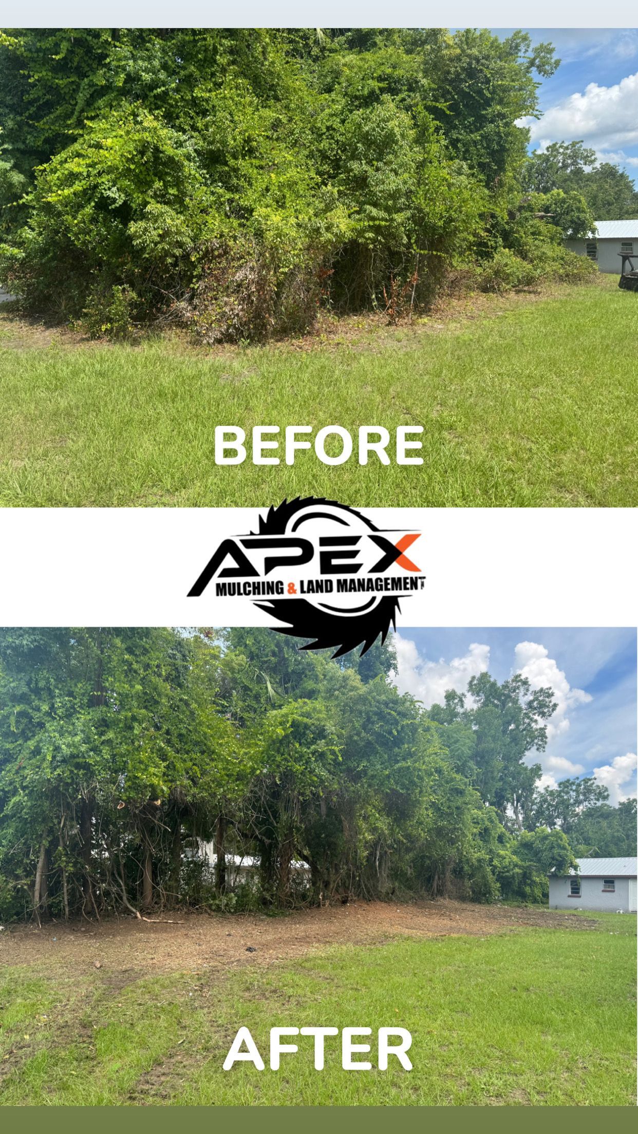 Before and after photos of overgrown shrubbery being cleared, showing a grassy yard.