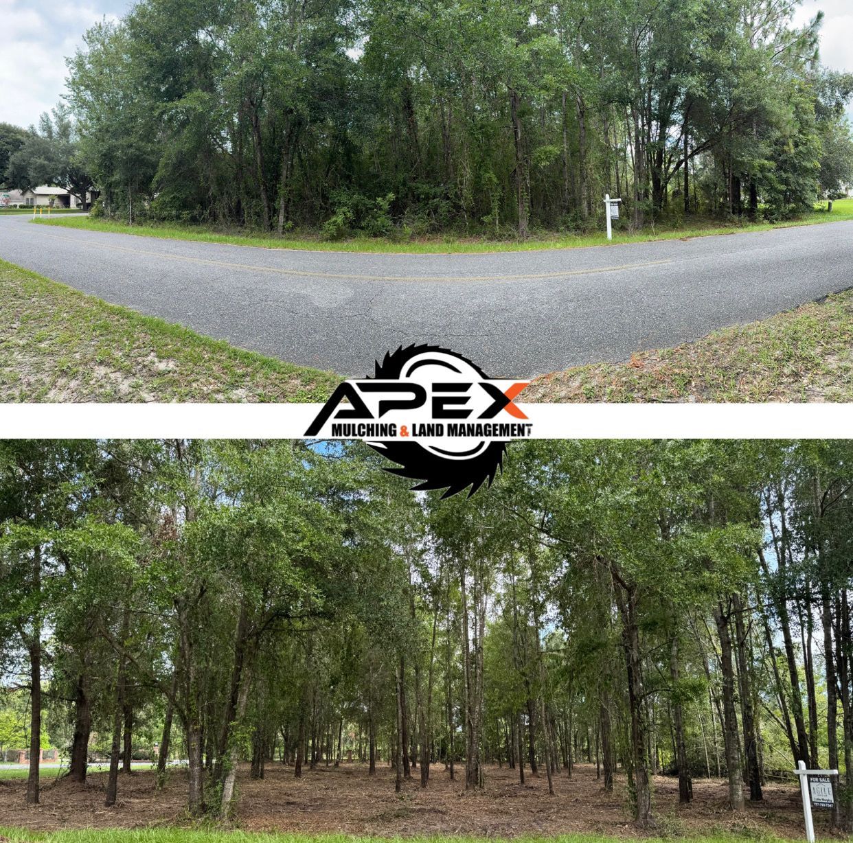 Two images of a wooded property and road. An Apex Property & Land Management logo is centered.