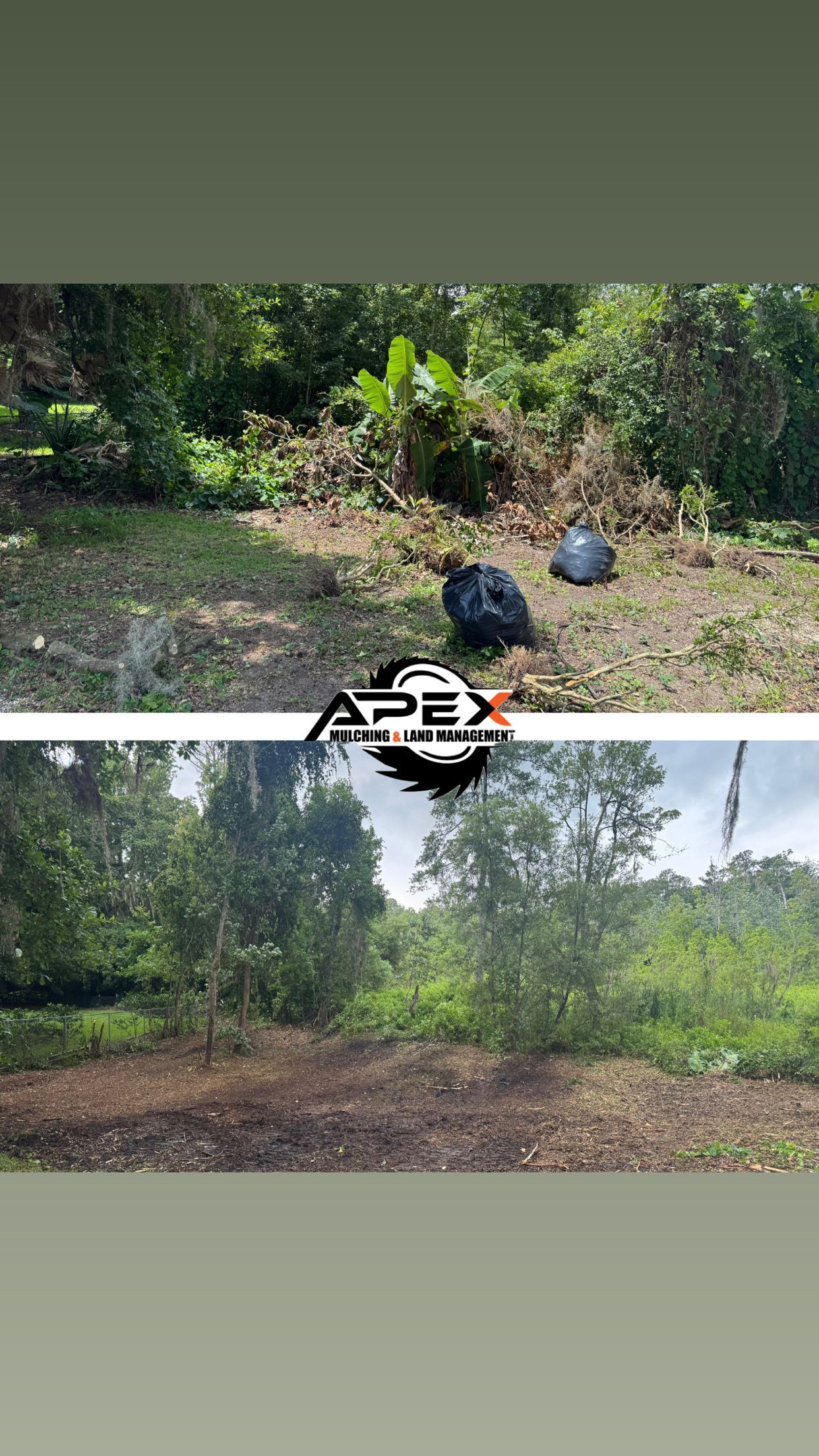 Two views of a clearing in a wooded area. Top shows trash bags. Bottom shows the cleared area.