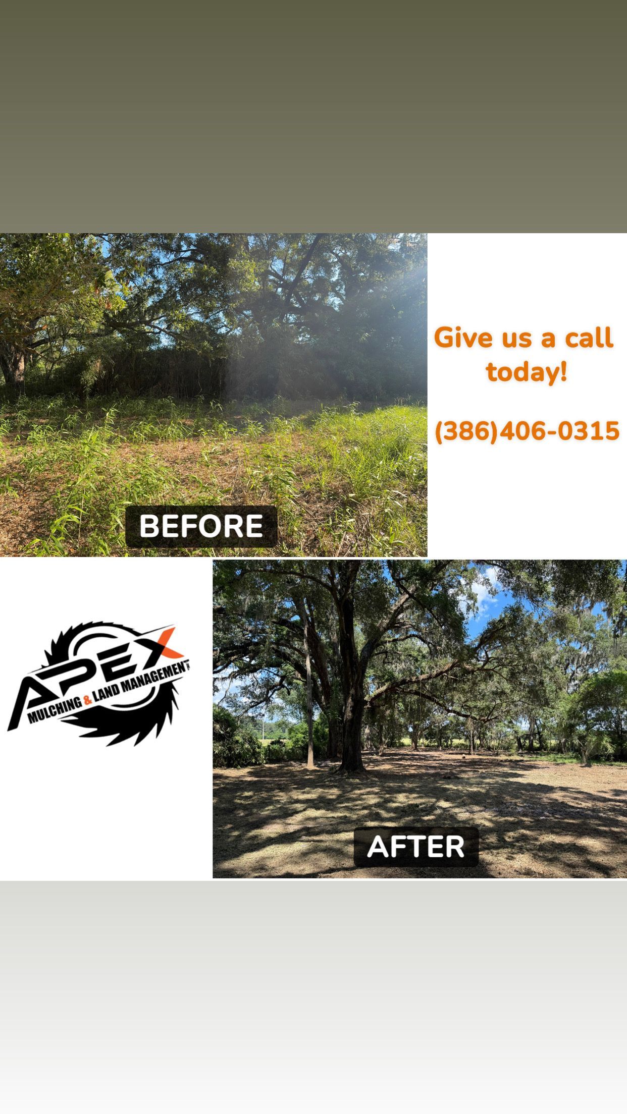 Before and after land clearing by Apex Services. Shows a grassy lot before, then cleared lot after.