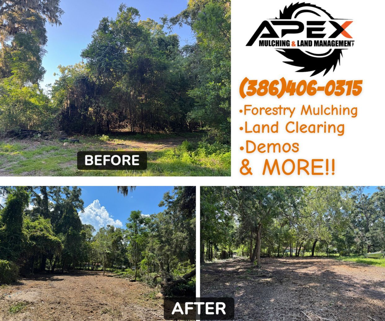 Before and after photos of land clearing by Apex Mulching & Land Management. Showing removal of brush and trees.