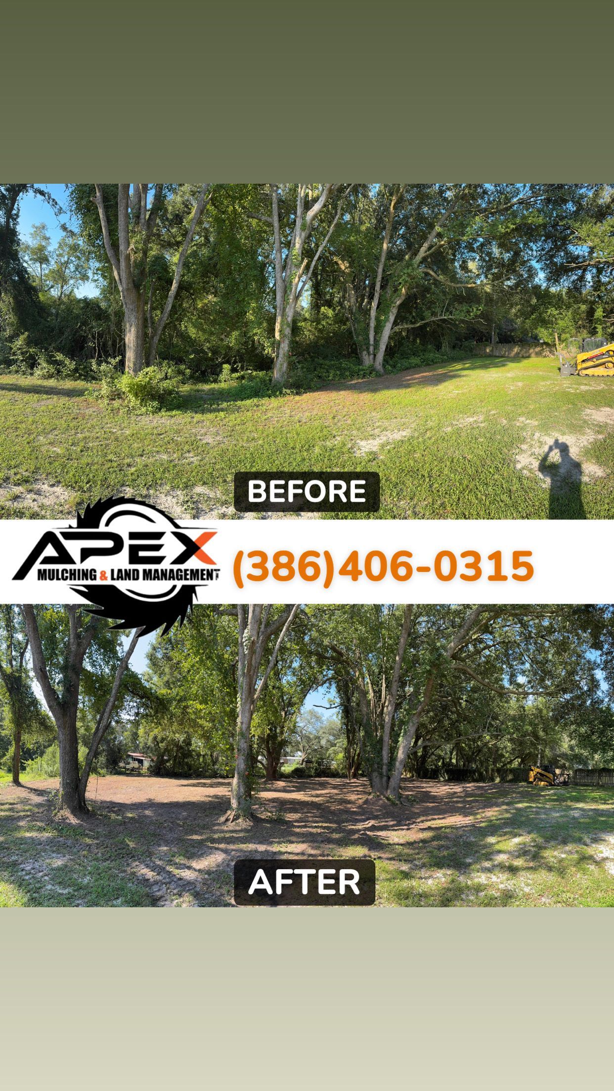 Before and after photos of yard clearing. Grass and trees are trimmed, revealing more open space.