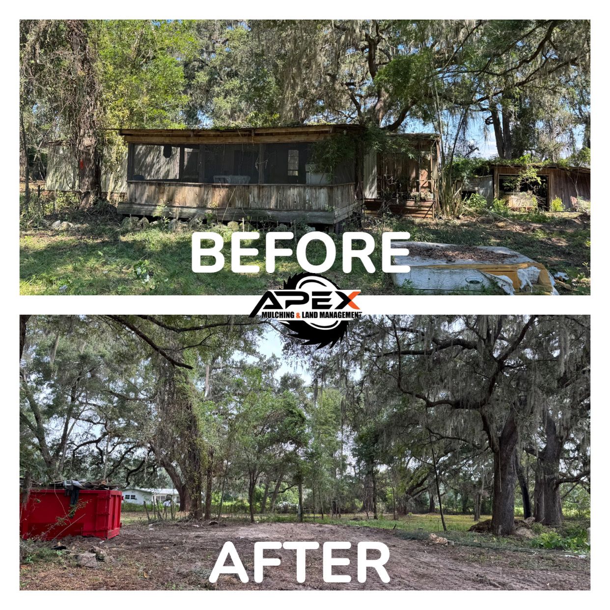 Before and after photos: dilapidated building in the woods removed to reveal a cleared area.