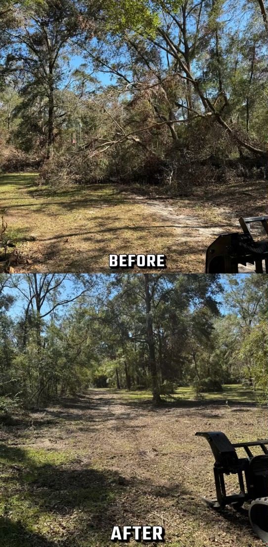 Before and after of tree clearing. Trees removed, ground cleared.