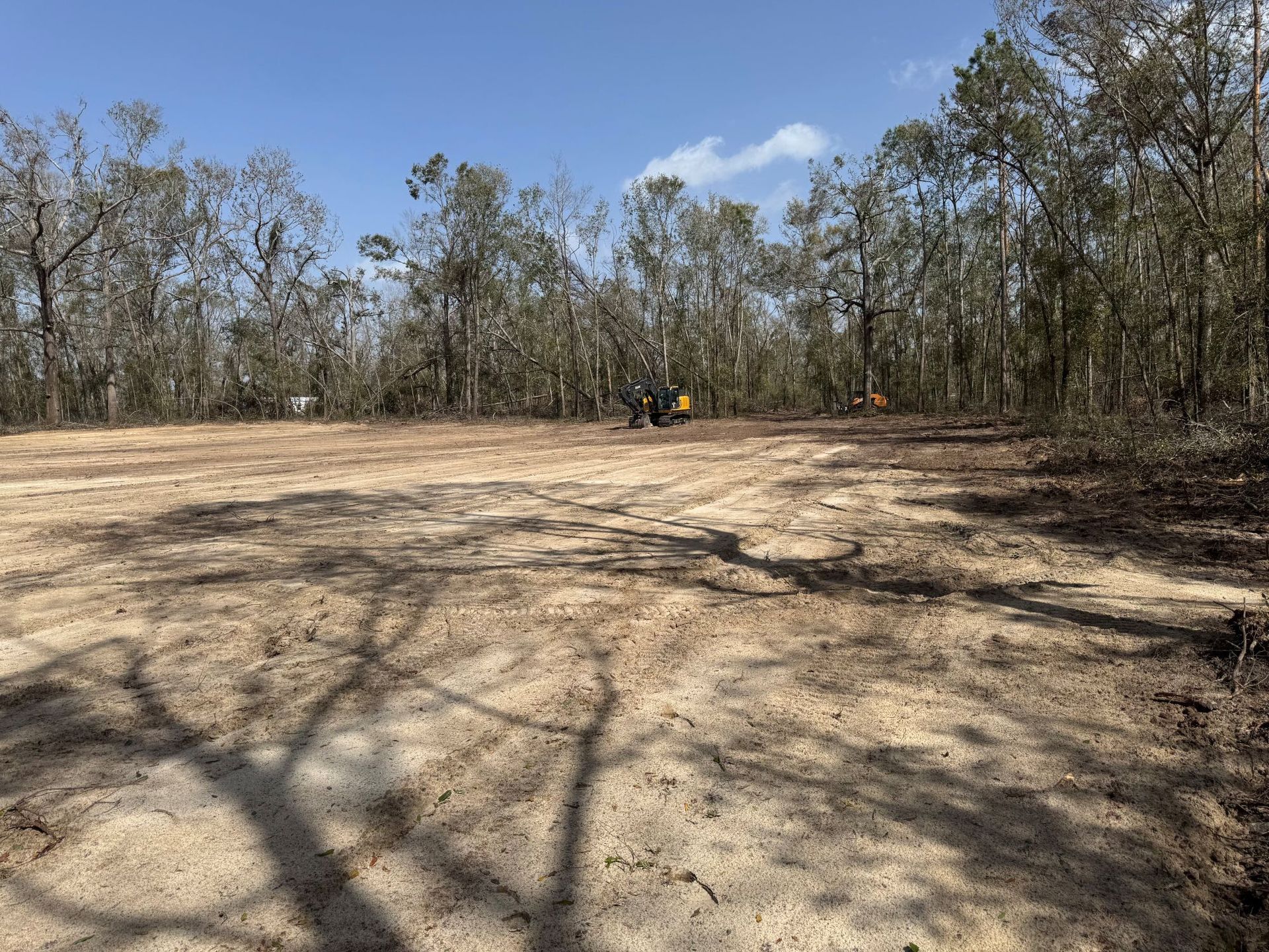 Cleared dirt area in a forest; trees in the background, shadows cast by trees, blue sky.