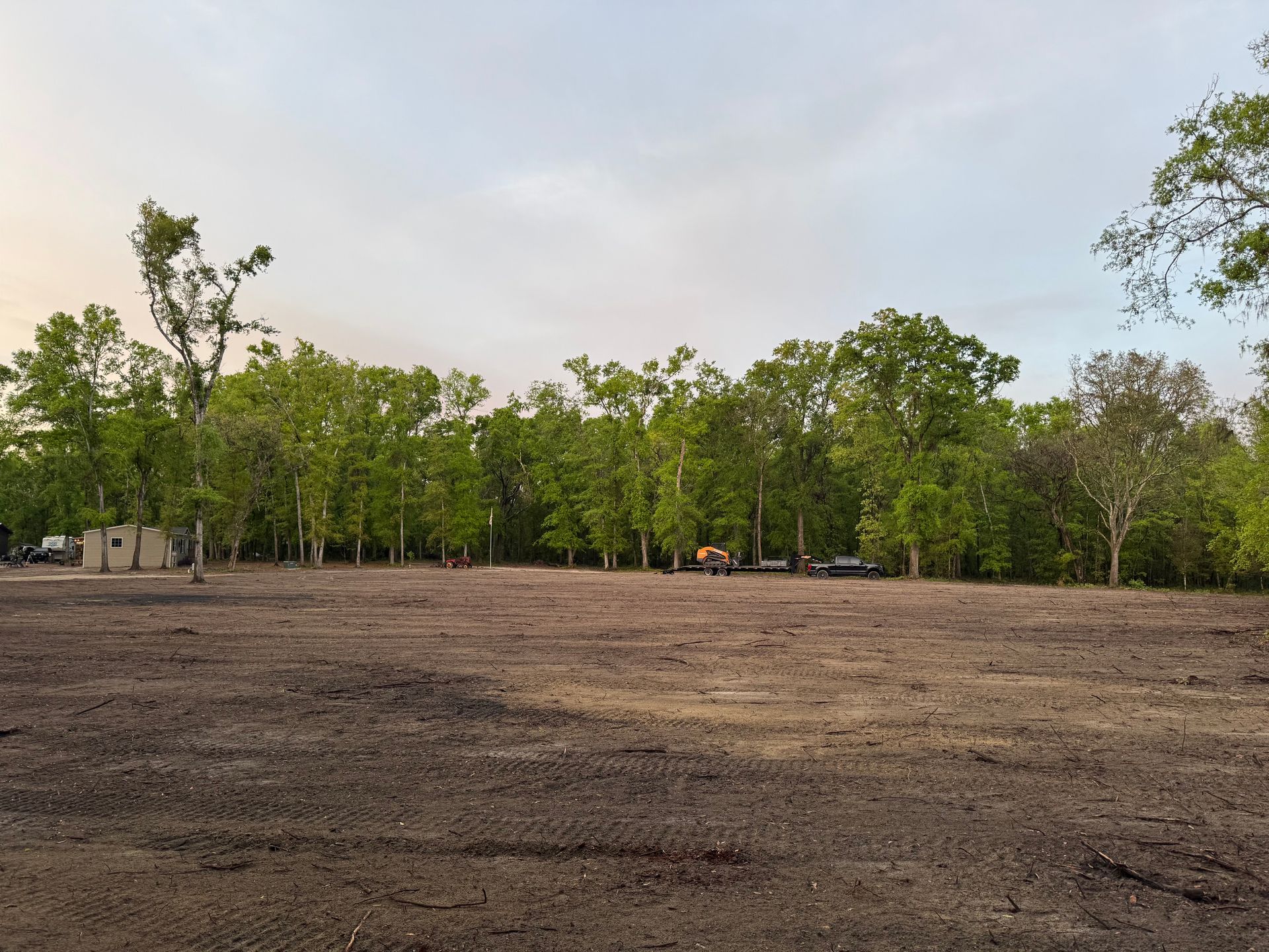 Cleared field in front of a line of green trees under a light-colored sky.
