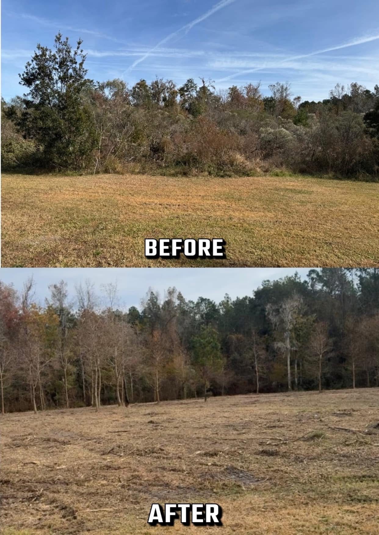 Before-and-after of a grassy field with overgrown trees, then cleared trees. Overcast sky.