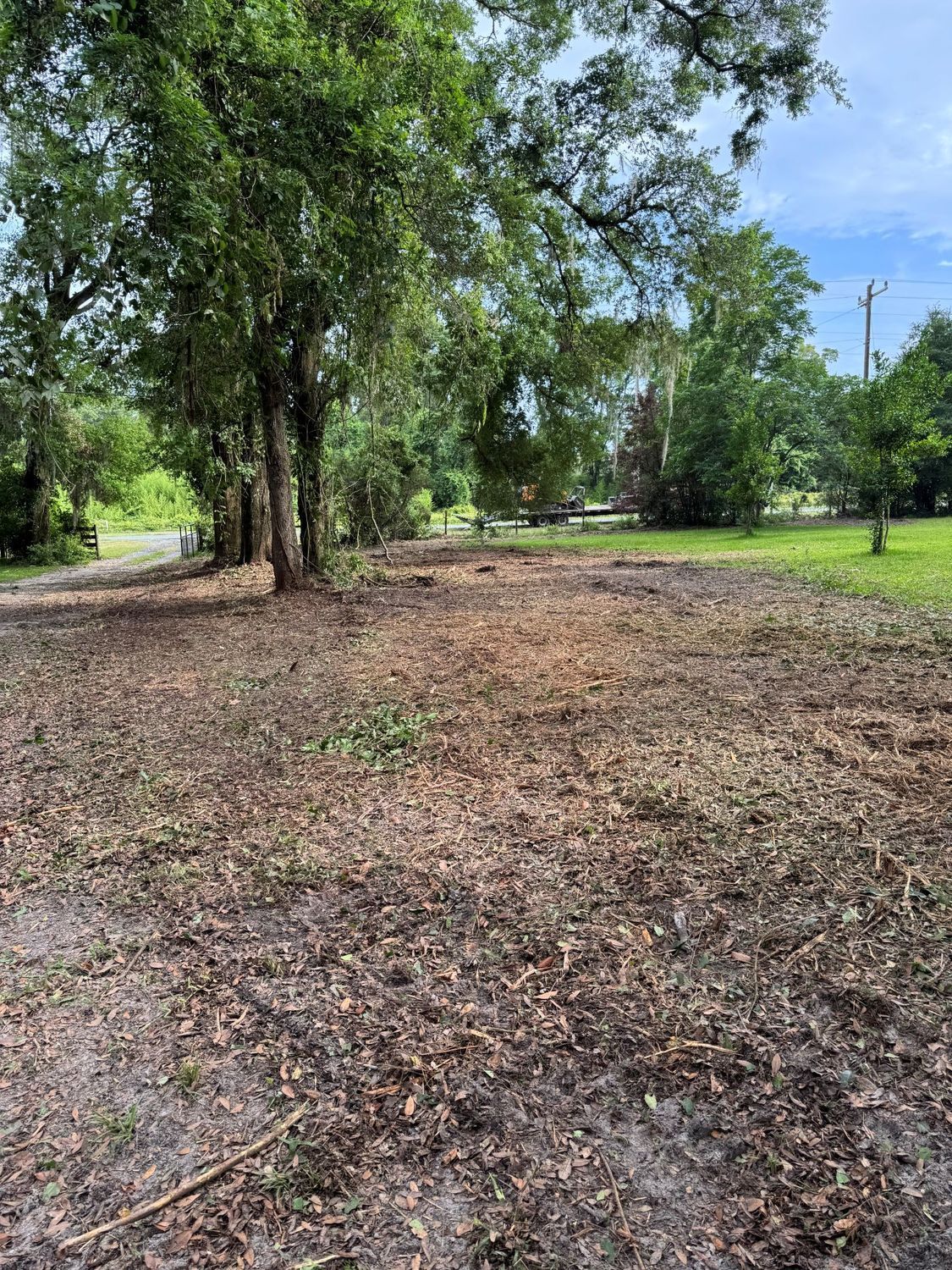 Cleared land with scattered leaves, surrounded by trees and grass, with a cloudy sky.