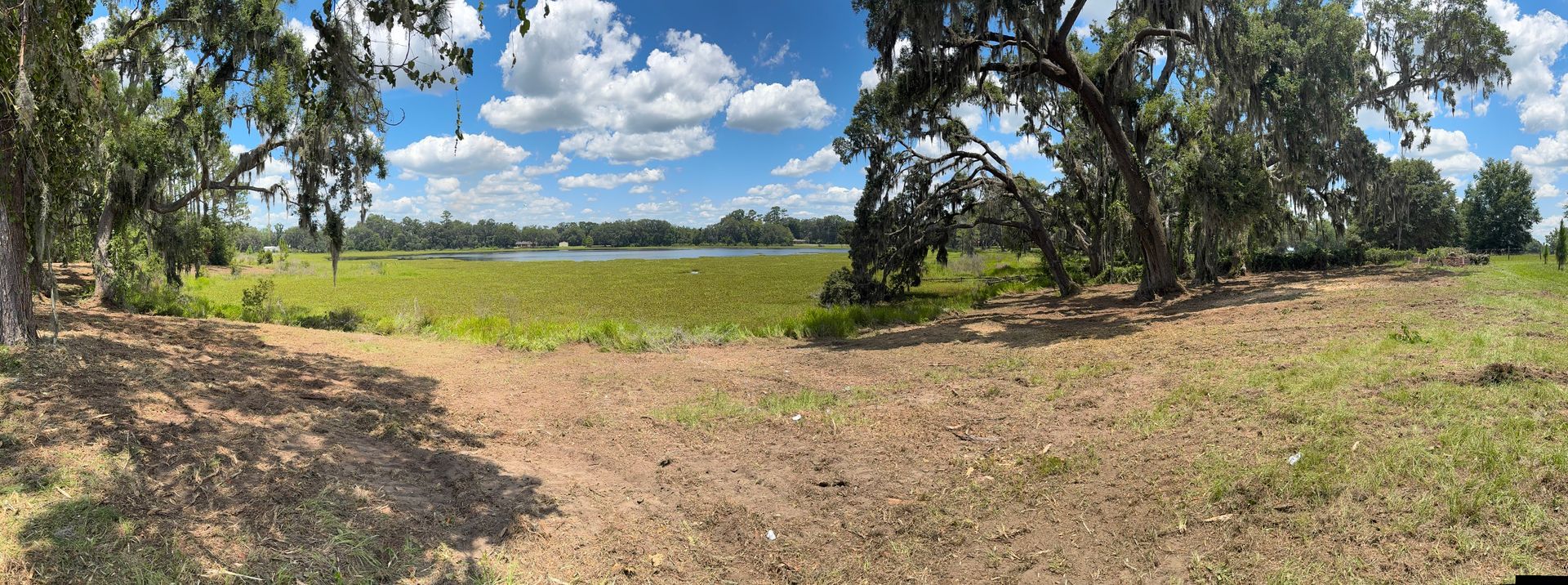 A sunny landscape with trees framing a grassy area and lake under a blue sky with clouds.