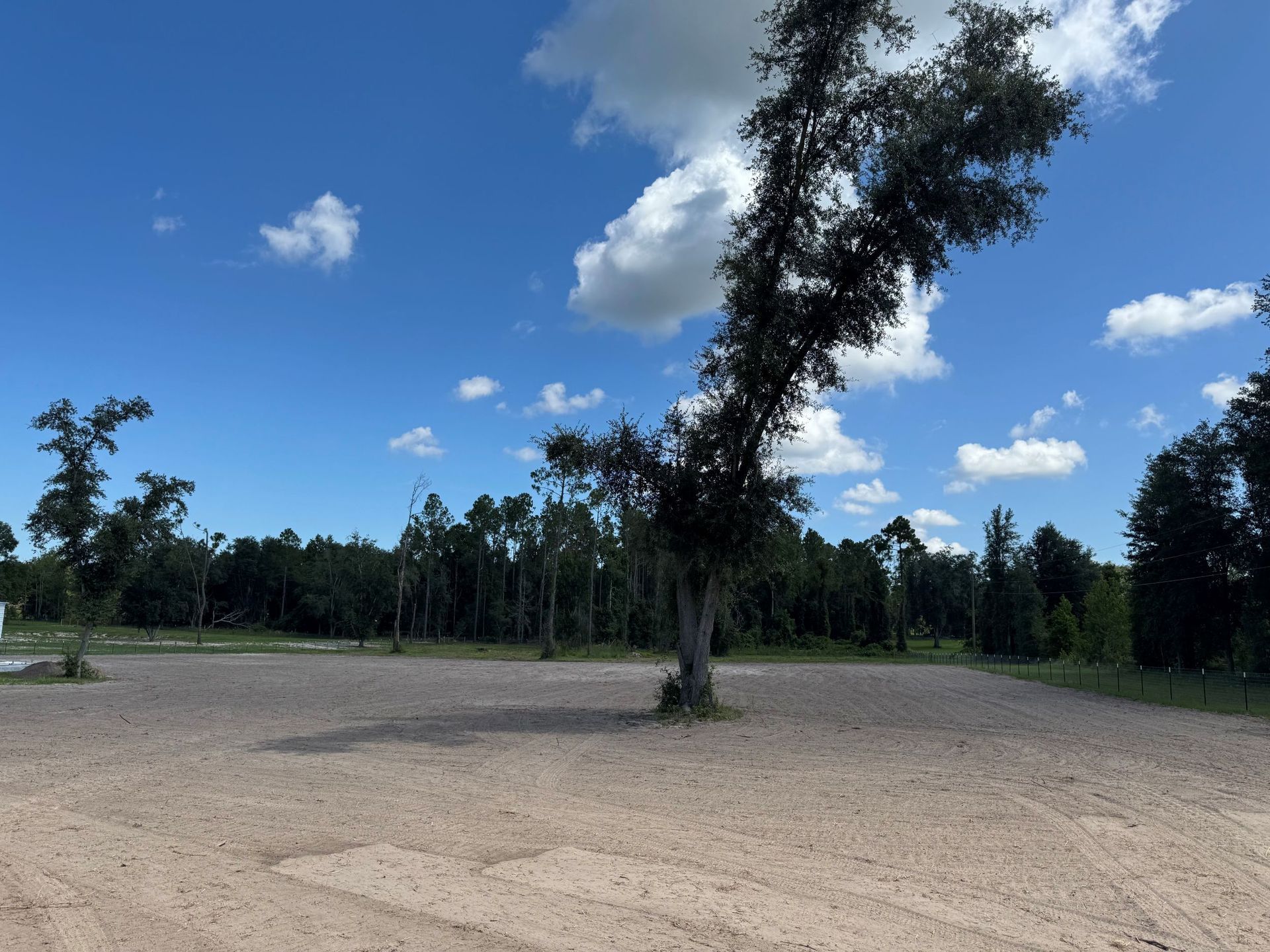 Sandy lot with a lone tree, forest backdrop, and blue sky with clouds.