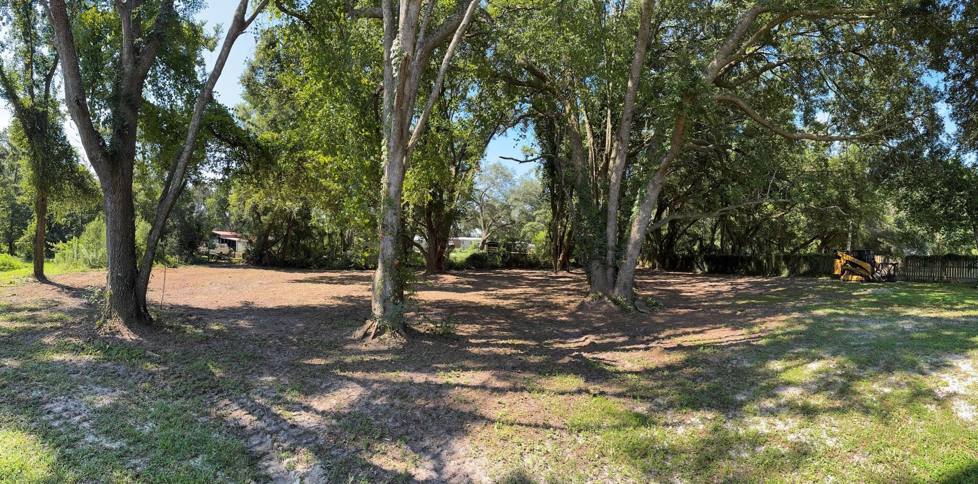 Trees frame a cleared dirt space with grass in front. Trees and foliage in background. Bright sunlight.