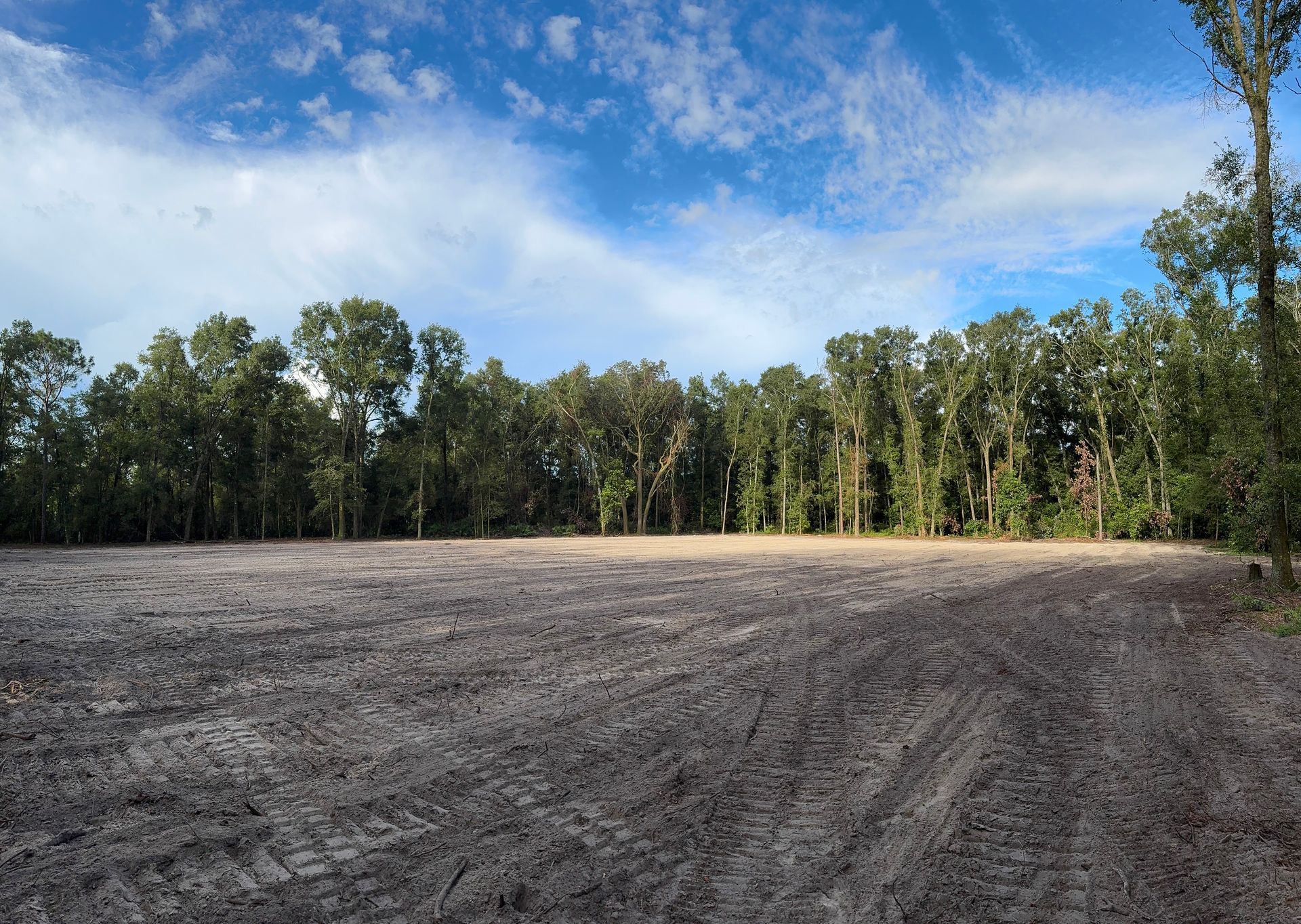Cleared dirt field in front of a line of trees under a blue, cloudy sky.