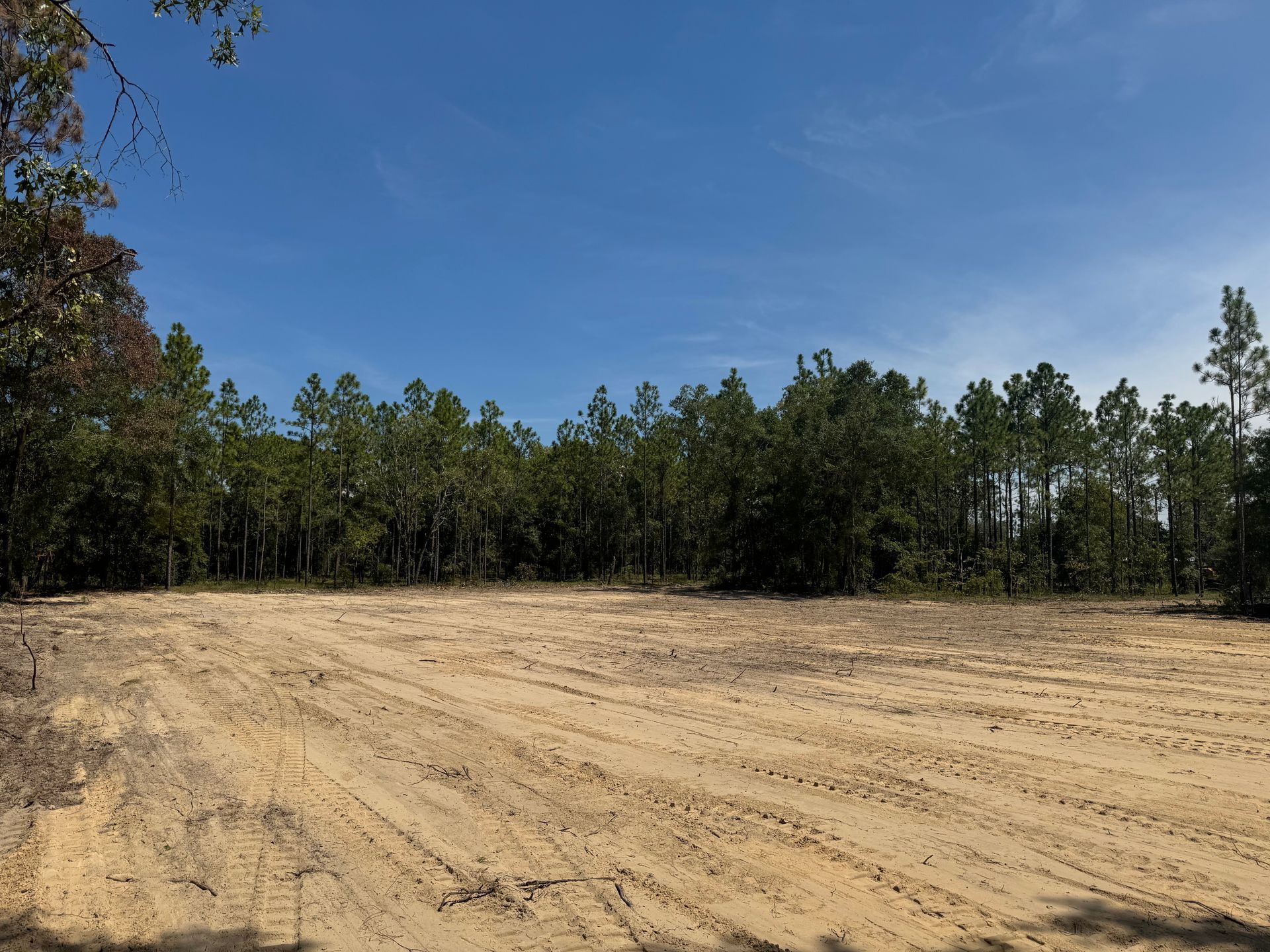 Cleared sandy lot with tire tracks, bordering a line of trees under a blue sky.