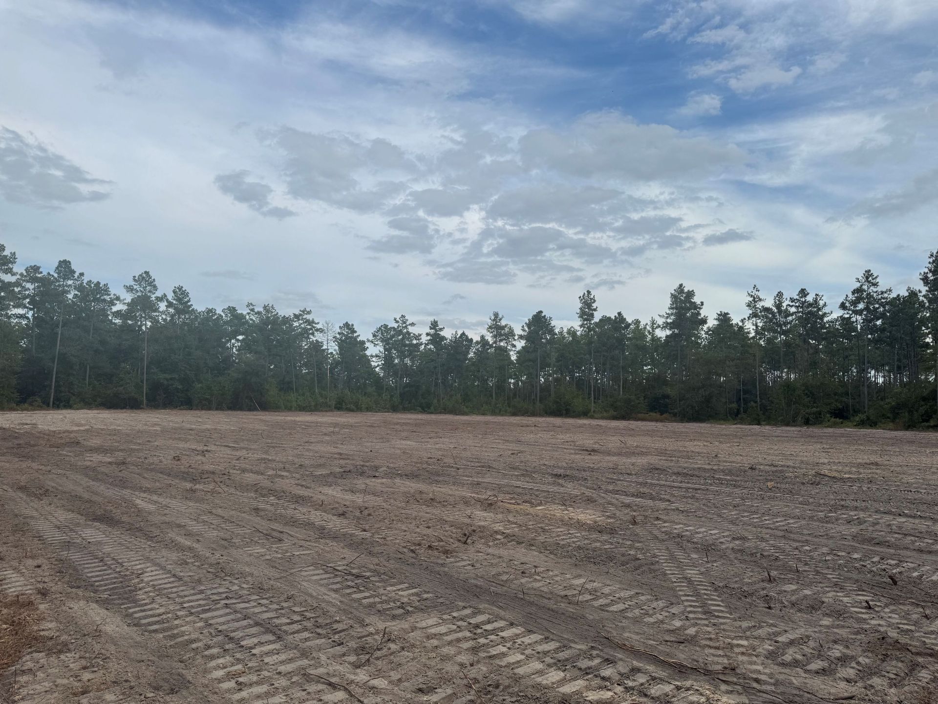 Cleared land, muddy, with a treeline under a cloudy sky.
