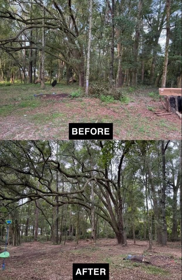 Comparison of a wooded area before and after clearing; trees remain.