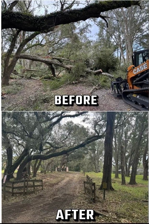Top: Fallen tree limbs. Bottom: Cleared path with trimmed trees.