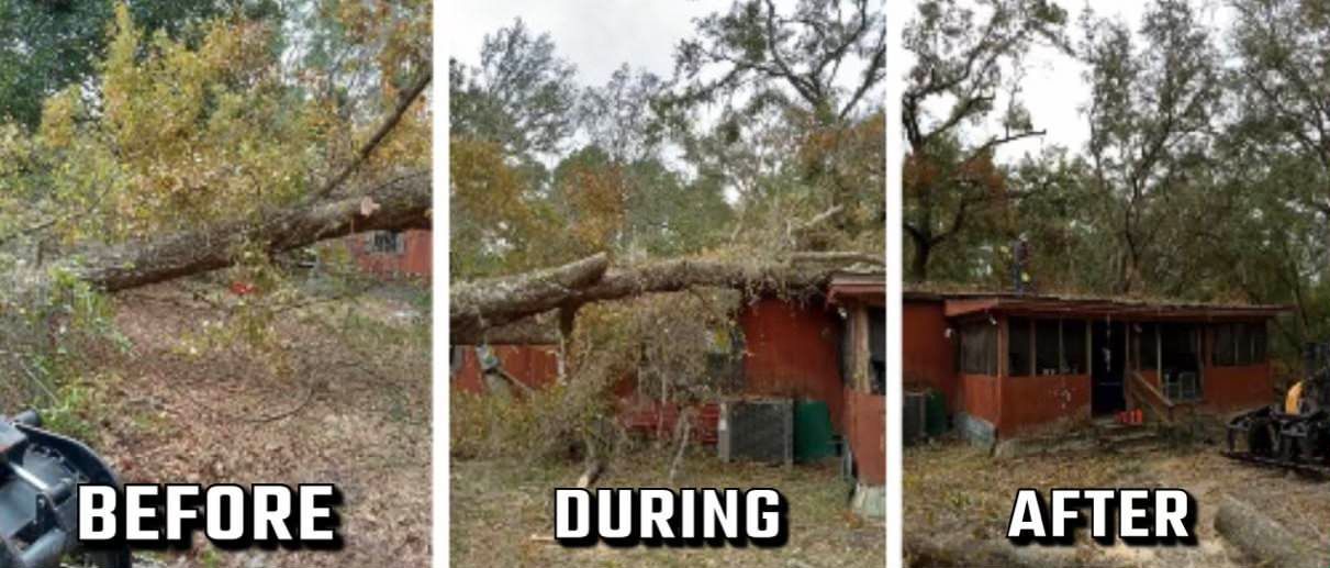 A tree falls on a red house; before, during, and after the tree removal.