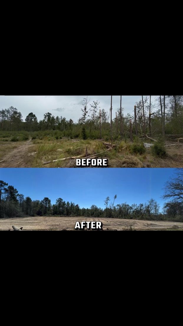 Before and after photos of a clearing. Before, a wooded area. After, a more open field.