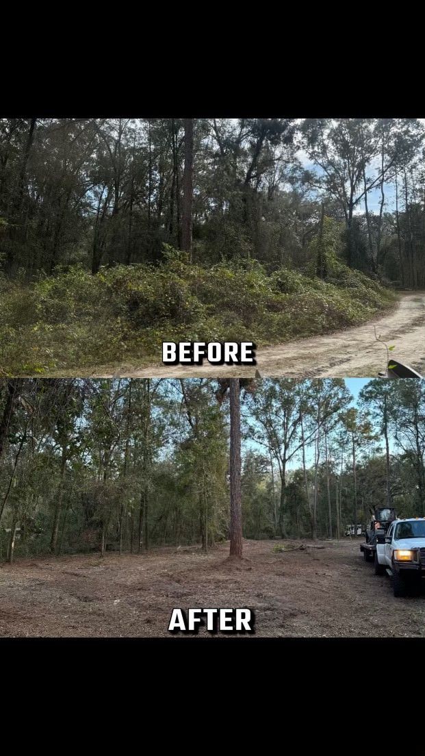 Before and after showing clearing of overgrown brush from a dirt road, trees in background.