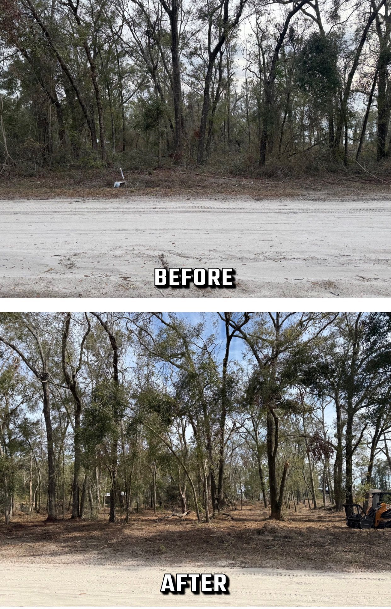 Before and after of land clearing, showing a dirt road and trees.