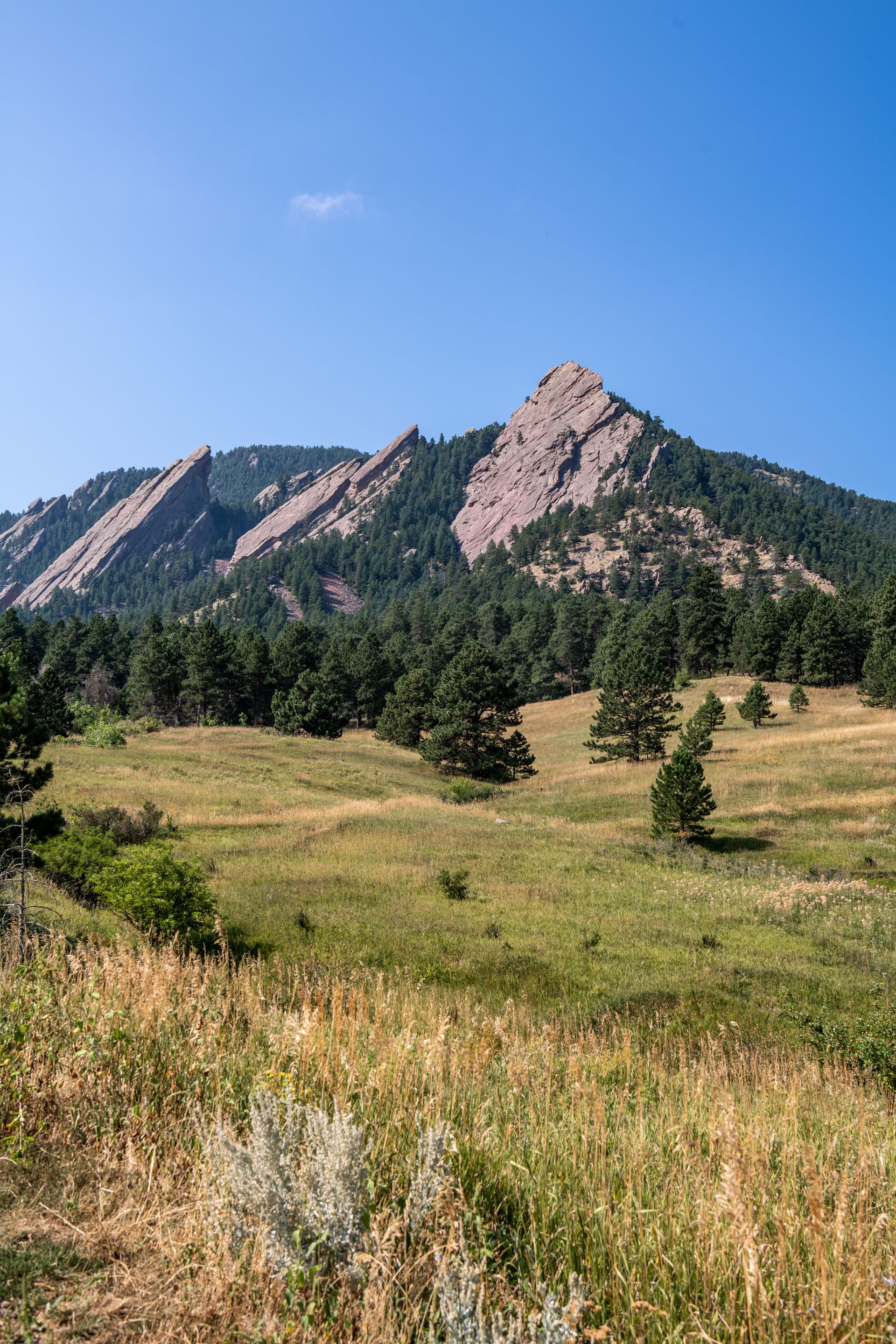 Rocky mountain ridge above a grassy meadow under a clear blue sky