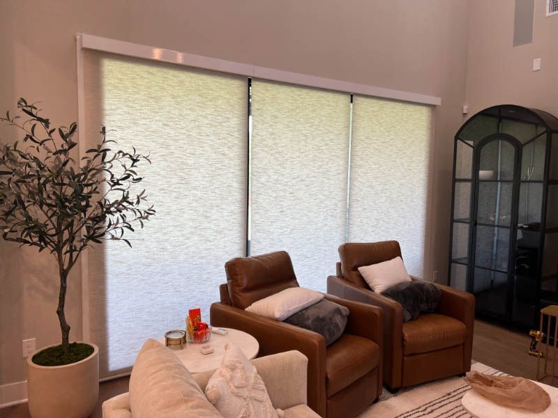 Love is Blinds CO: A living room with a couch and a plant, and large roller shades on glass doors.