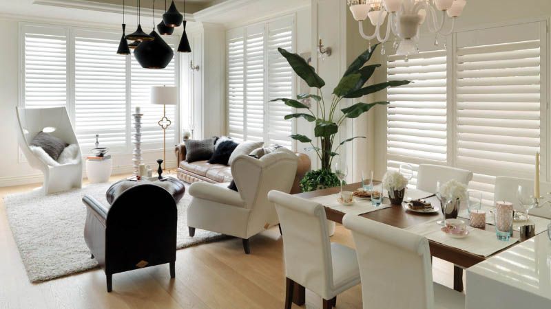 Love is Blinds Colorado Springs, CO - shutters in a white living room. 