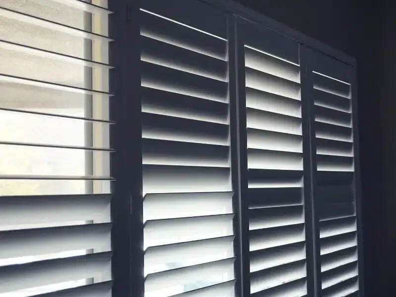 5. Problems with Light Control and Privacy