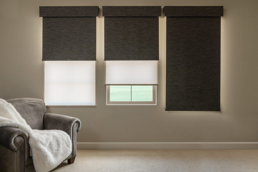 Roller or Solar Shades