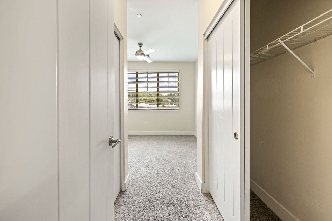 Carpeted hallway with an open closet on the right and a sunlit room at the end.