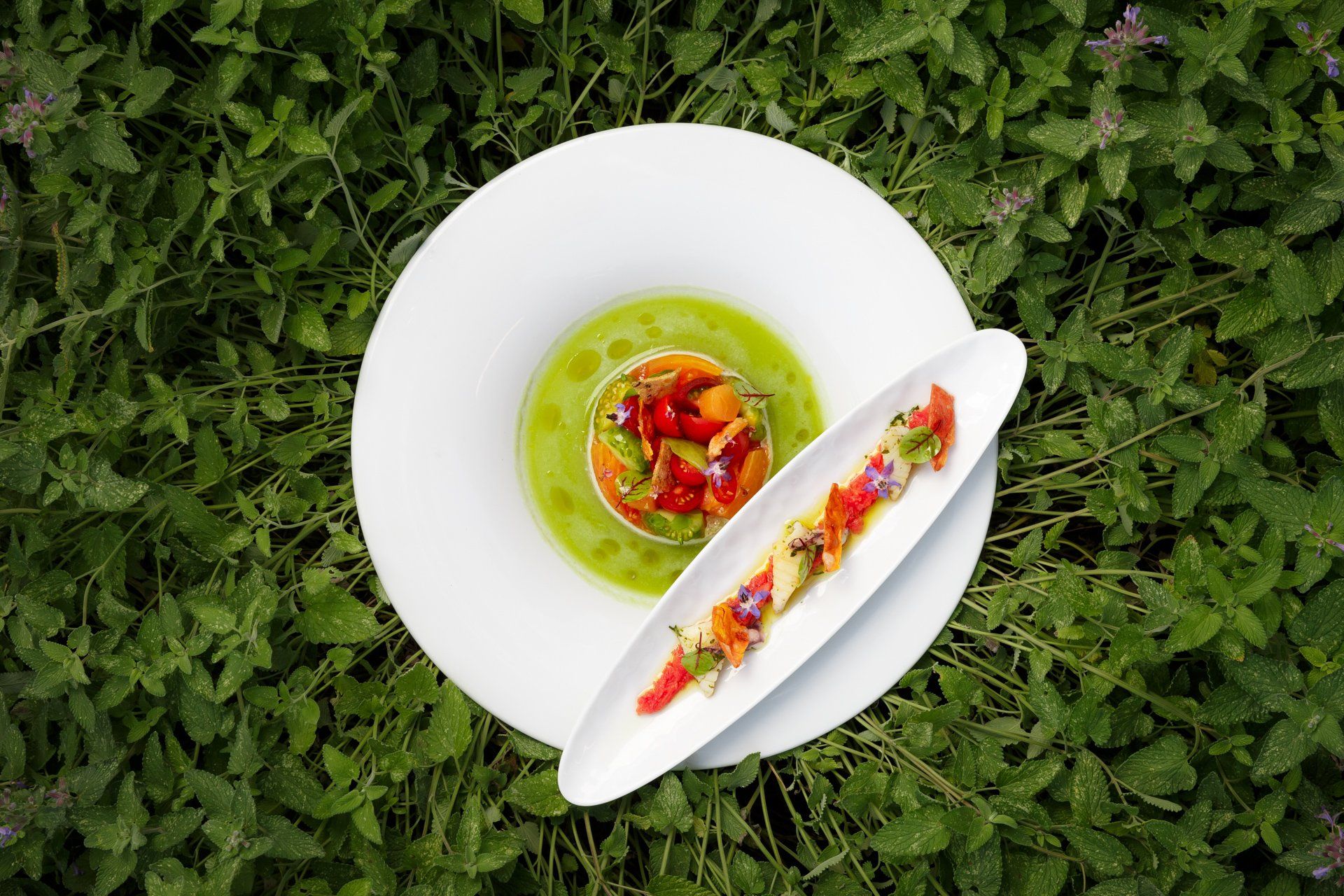Une assiette de nourriture est posée au sommet d'un champ verdoyant.