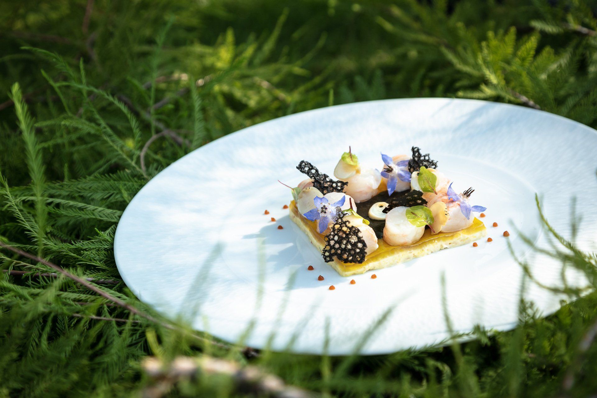 Une assiette blanche surmontée d'un dessert est posée dans l'herbe.