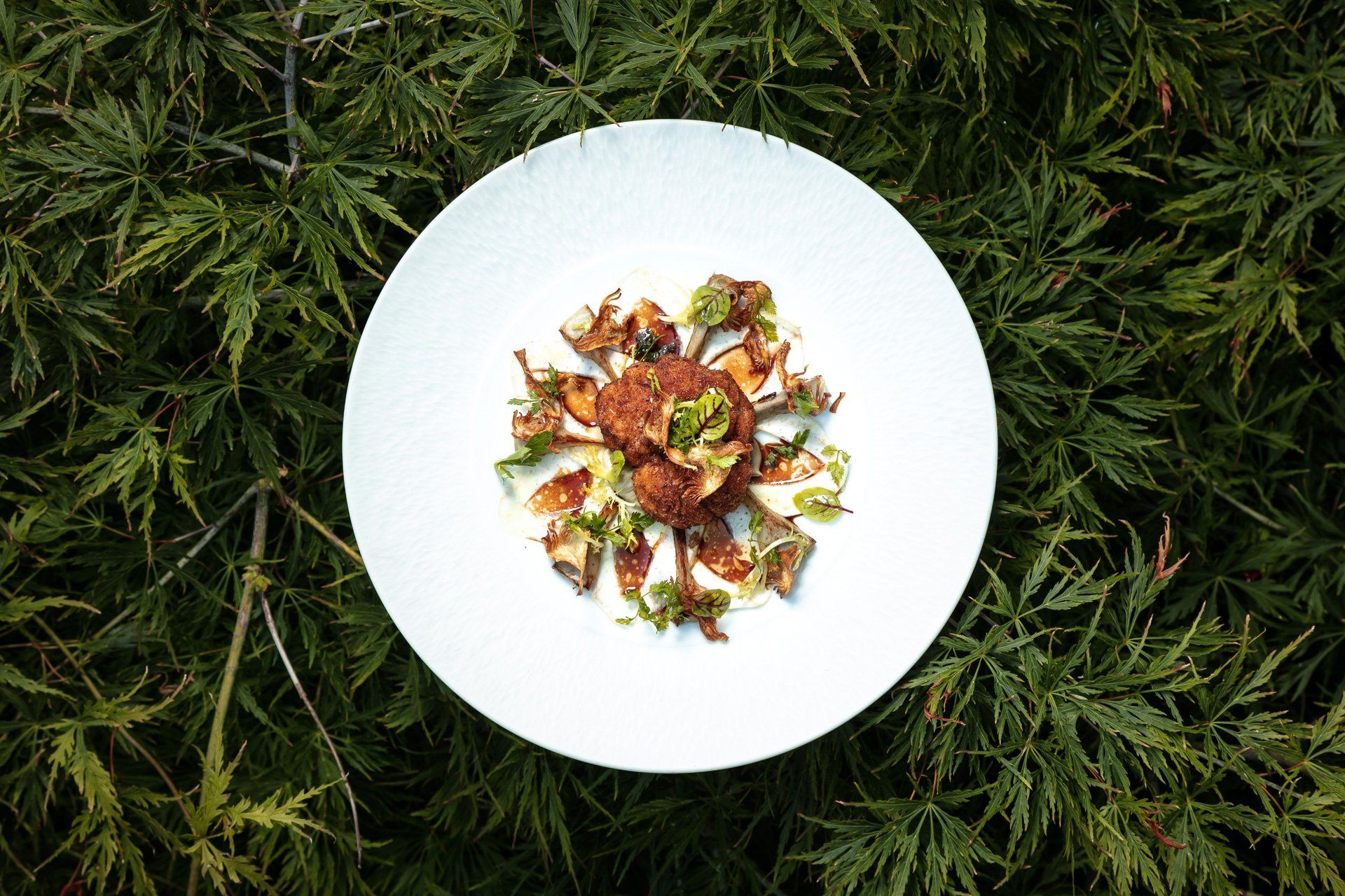 Une assiette de nourriture est posée au sommet d'un champ verdoyant.